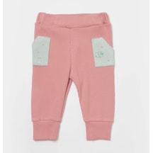 Mint Yeşili