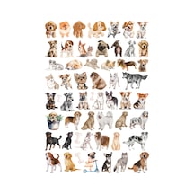 55 Adet Sevimli Köpekler Sticker Seti - Etiket Seti Scrapbook Bullet Journal Çok Renkli