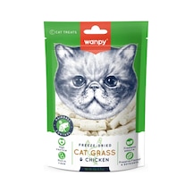 Wanpy Kedi Dondurulmuş Kedi Çimi Ve Tavuklu Ödül