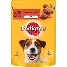 Pedigree Pouch Sığır Etli ve Tavuklu Yetişkin Köpek Konservesi 100 G