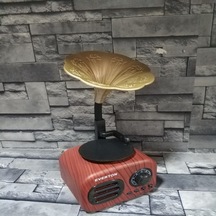 Everton RT-705Bt FM RadyoUsbBt Müzik Kutusu