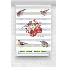 Perdeoutlet38 Baskılı Renkli Nar Ve Kuşlar Dijital Baskılı Zebra Perde-cocuk Odası-stor Perde Model:pz-2593 Çok Renkli