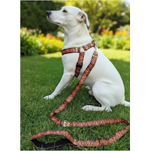 Tr Köpek Göğüs Tasması Ayarlanabilir Ve Gezdirme Kayışı 2'li Set Küçük Ve Büyük Irk Kaplan Desen Genel