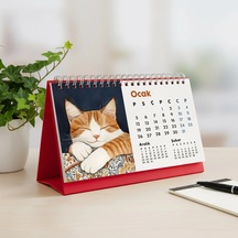 2026 Kedili Masa Takvimi Üç Aylık Takvim - Önceki Ay Sonraki Ay Kedi Severlere Hediye Kırmızı