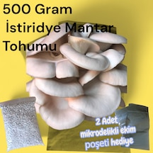 1 adet