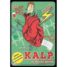 Mutlu Kalp Ve Dolaşım Sistemi