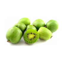 Tüplü Küçük Meyveli Hardy Bebek Kivi Fidanı