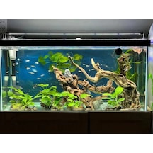 Shark Akvaryum Aydinlatma 4 Sira Osram Marka Ledli 566770147