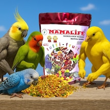 Meyveli Kuş Maması Nemli 1 Kg Mamalife