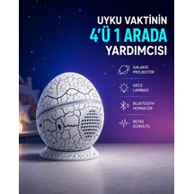 Zenvia Dinozor Yumurtası Tasarımlı Gece Lambası Müzik Ve Işık Senkronizasyonlu Znv2026 Çok Renkli 90313810