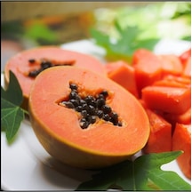 Papaya Meyvesi Tohumu Tropikal Meyve Tohumları 2 Adet Tohum
