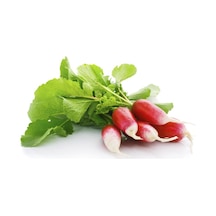 100+ Fransız KahvaLı Turp Tohumu N111190