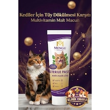 Tüy Dökülme Engelleyici, Tüy Yumağı Ve Kusma Önleyici Multivitamin Kedi Malt Macun 100 Gr