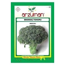 1 Paket Tohum Nadir Yeşil Brokoli Tohumu Organik
