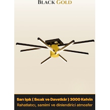 Nova 8 Gold Led Tavan Avize Kumandalı Dim Edilebilir Aşağı Işık Sarı Işık