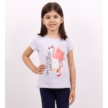 Toontoy Kids Kız Çocuk Tişört Flamingo Baskılı Gri Melanj