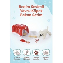 Çok Renkli