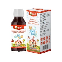 Dayvit Calcium Magnesium Zinc Vitamin D Sıvı 150 ML