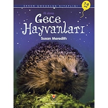 Gece Hayvanları