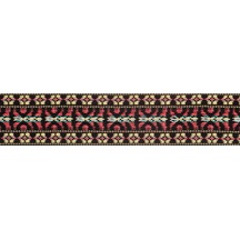 Planetwaves 50G00