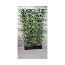 100 Cm Saksıda 200 Cm 15li Bambu Speratör Çok Renkli