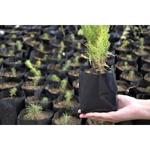 Fidan Poşeti 9X15 cm 60 Adet Körüksüz Fide Poşeti Fide Torbası