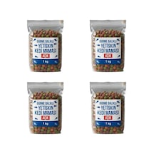 Gurme Balıklı Açık Kedi Maması Sokak Hayvanları İçin Ekonomik Ve Besleyici Çözüm - 4x1-4 Kg