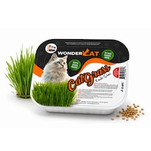 Wondercat Topraklı Koruyucu File Hediyeli Kedi Çimi