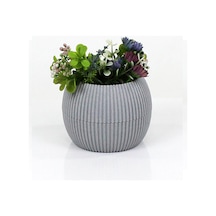 Mercan Saksı 2 Numara 0,35 Litre Su Hazneli Dekoratif Kaktüs Sukulent Saksı 11,8x9,2 cm