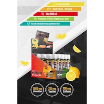 Nowup Nutrition L-Carnitine / Lemonade 25 ML x 20 Adet
