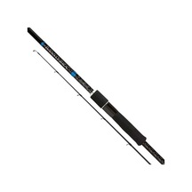 Shimano Bassterra Sea Bass 8 6-28 Gr 244 CM