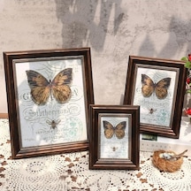 Novahub Tavuskuşu Mavisi Retro Çerçeve, 15.2x20.3cm, Masaüstü Dekor, Ev Fotoğraf Arka Plan