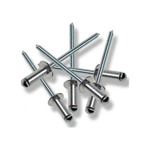 Perçin Pop 5x20 Mm 10 Adet