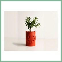Bşkvirgo 3d Baskı Emoji Planter - Göz Kırpan Yüzlü Sukulent Saksısı-turuncu Bsk2026 Standart