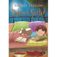 Uykucu Şiirler - Haydar Ergülen - Kırmızı Kedi