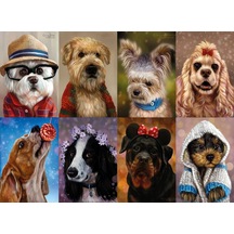 Nova 1000 Parça Puzzle - Sevimli Köpek Yavruları