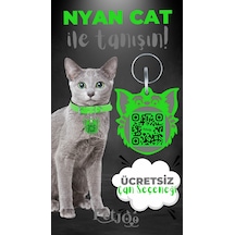 Petjoo 2.Nyan Cat Gri-Yeşil Qr'lı Kedi Künyesi