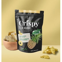 Dondurularak Kurutulmuş Ananas Dilimleri 20 Gram