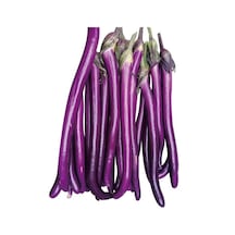 Thin Long Patlıcan Tohumu 15 Tohum