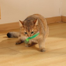 Charmy Fırefly Catnipli Kedi Oyuncağı Green
