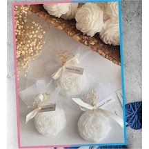 Bernami Mum Pinterest Mumlu Şakayık Gül Hediyelik - 10 Adet Diğer
