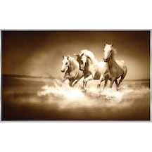Poster Duvar Kağıdı 427 8 Parça 3.68mt X 2.54mt Renkli