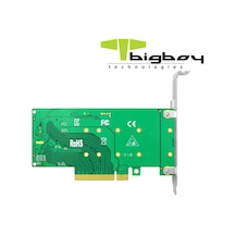 Bigboy BTC-M2G4X2 PCIe 4.0 x4  PCIe 4.0 x8 2xm.2 NVMe Dönüştürücü