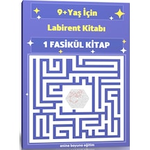 9+ Yaş Labirent Kitabı