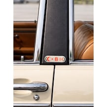 Kan Grubu Sticker Damla Etiketi /reçine Damla Dolgulu /b Pozitif B Rh+ 7x2 Cm 2 Adet Çok Renkli