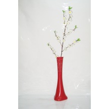 60 Cm Kırmızı Desenli Vazo Beyaz Bahar Dalı