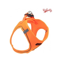 Tailpetz Air Mesh Köpek Göğüs Tasması (S) Neon Turuncu
