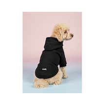 Kapüşonlu Kedi Köpek Kıyafeti Sweatshirt Hoodie Evcil Hayvan Giysisi
