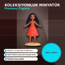 Çok Renkli