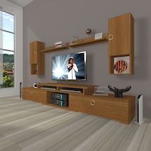 Ceviz